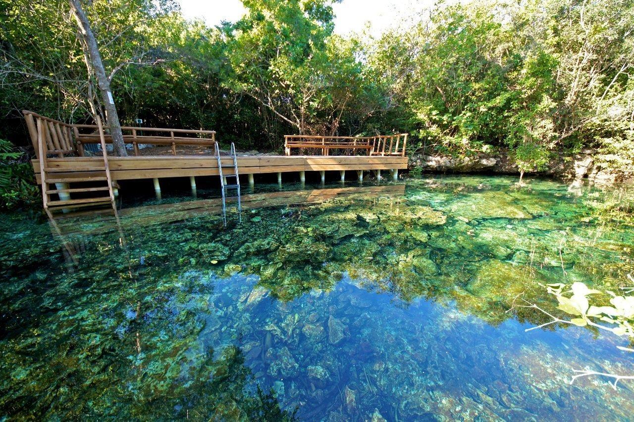 Tortuga Bay, Punta Cana Resort Exterior photo